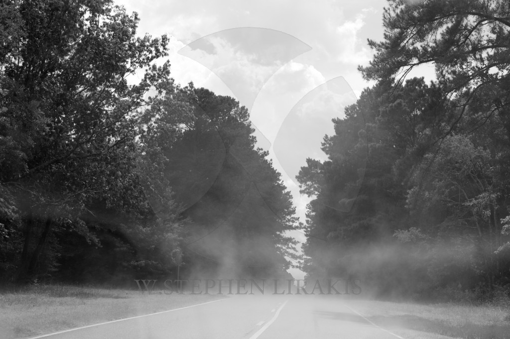 MIST OF THE ROAD