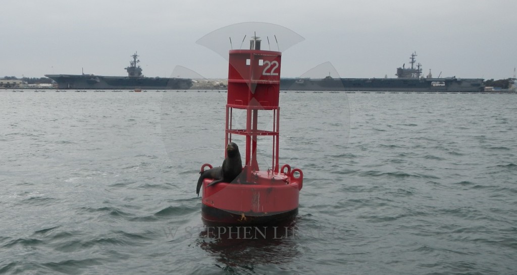SEAL AND BELL BOUY
